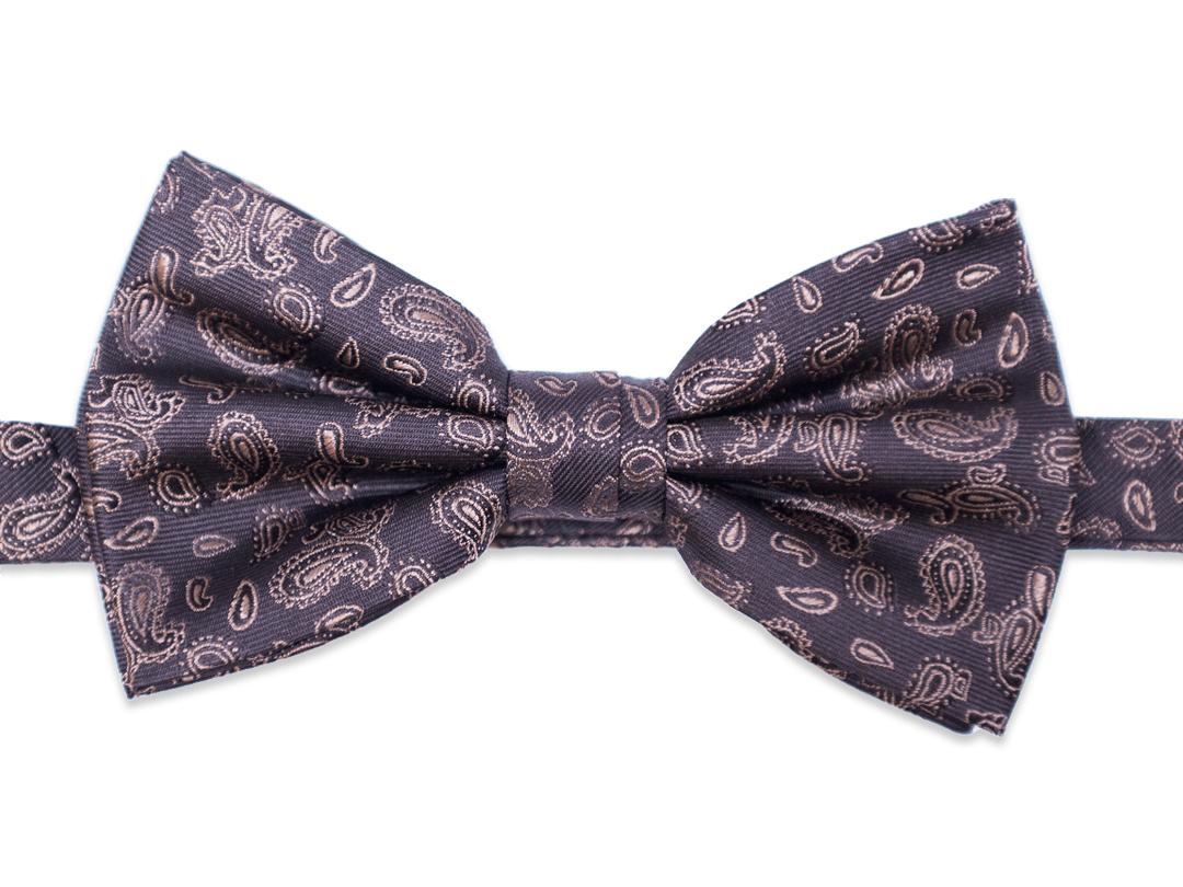 Fliege mit Paisley in braun