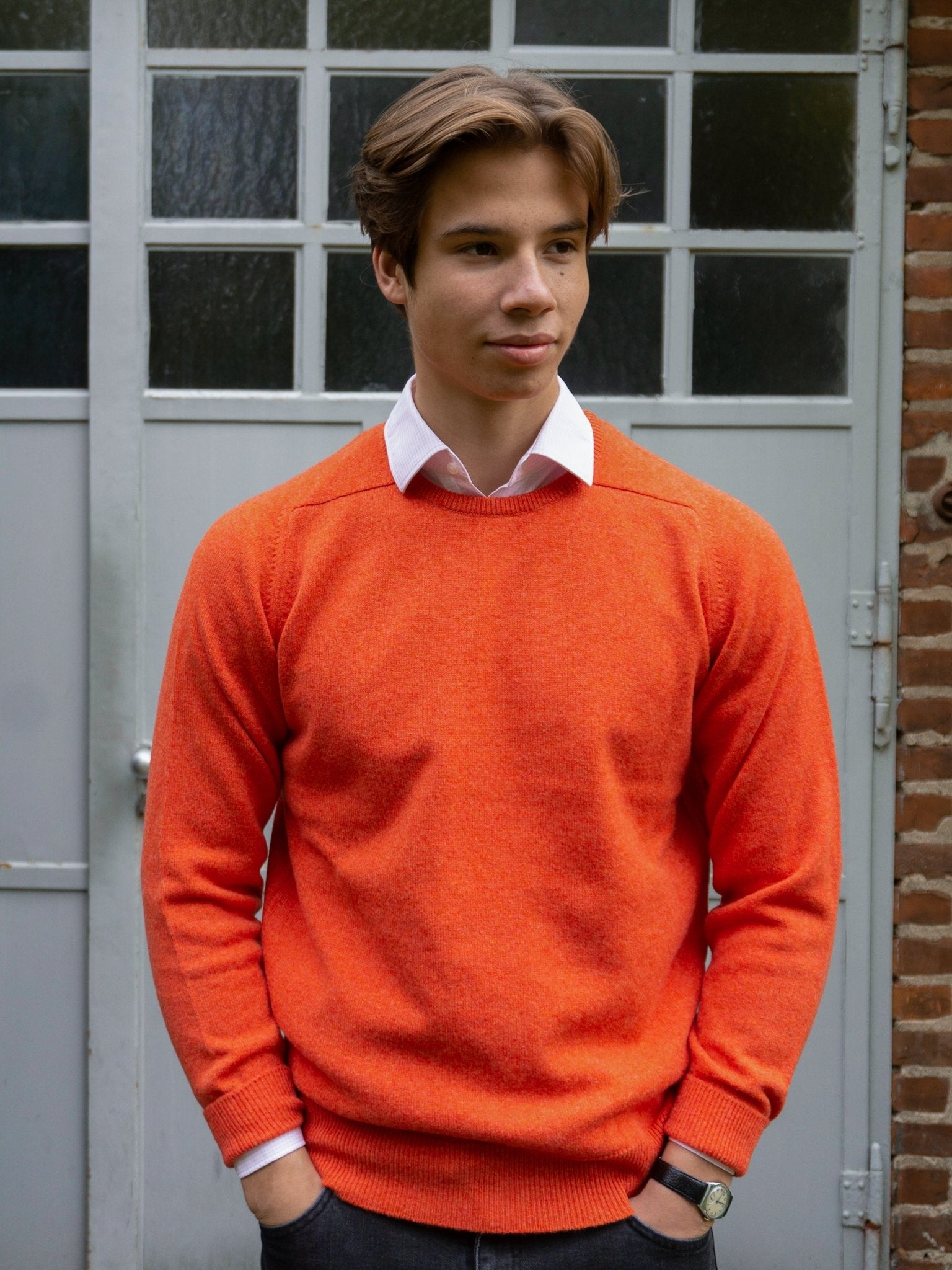 Lambswool Pullover mit Rundausschnitt in modernen Farben (Gr. 44–52)