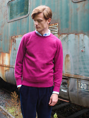 Lambswool Pullover mit Rundausschnitt in modernen Farben (Gr. 40–42)