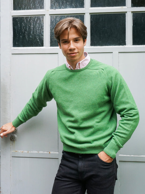 Lambswool Pullover mit Rundausschnitt in modernen Farben (Gr. 44–52)