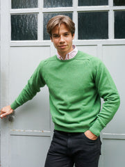 Lambswool Pullover mit Rundausschnitt in modernen Farben (Gr. 40–42)