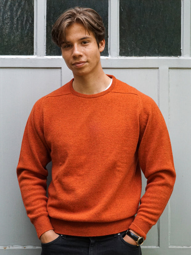 Lambswool Pullover mit Rundausschnitt in modernen Farben (Gr. 44–52)