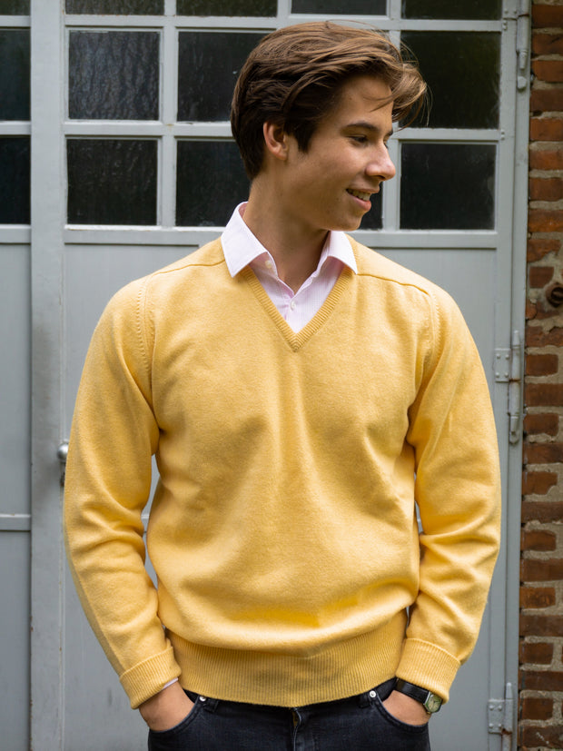 Lambswool Pullover mit V-Ausschnitt in modernen Farben (Gr. 40–42)